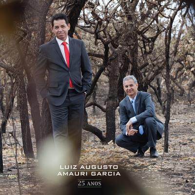 Serafim e Seus Filhos By Luiz Augusto, Amauri Garcia's cover