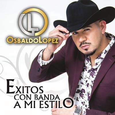 Exitos Con Banda a Mi Estilo's cover