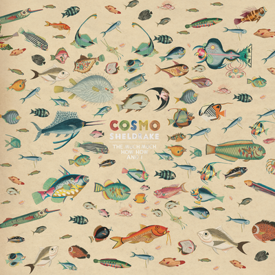 Birthday Suit By Cosmo Sheldrake's cover