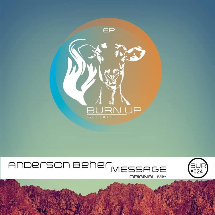 Anderson Beher's avatar image