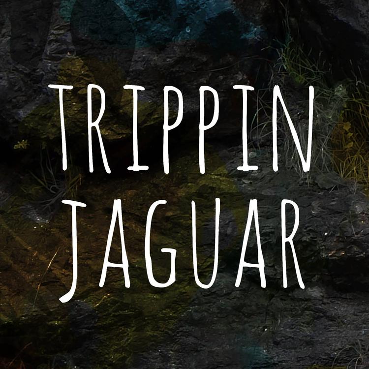 Trippin Jaguar's avatar image