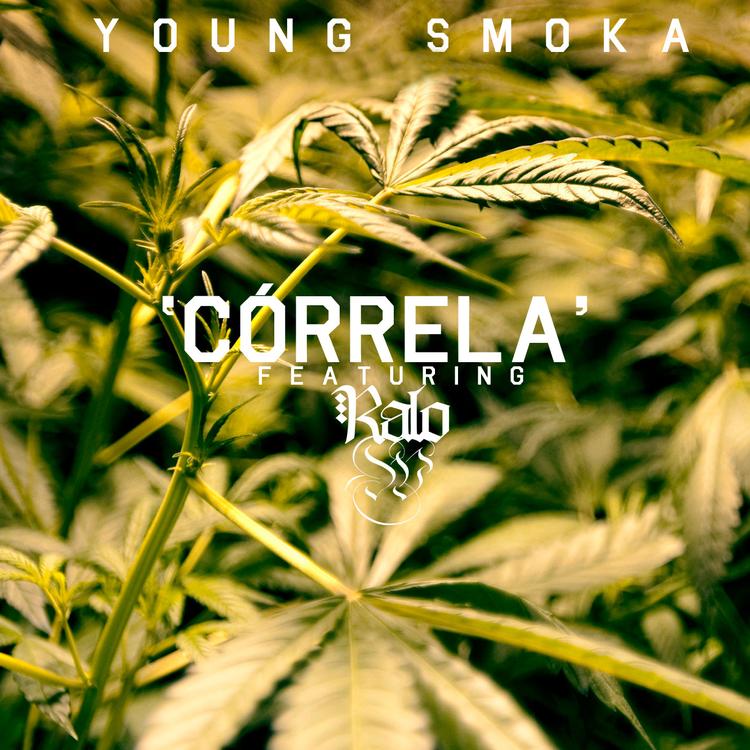 Young Smoka's avatar image