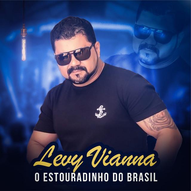 Levy Vianna's avatar image