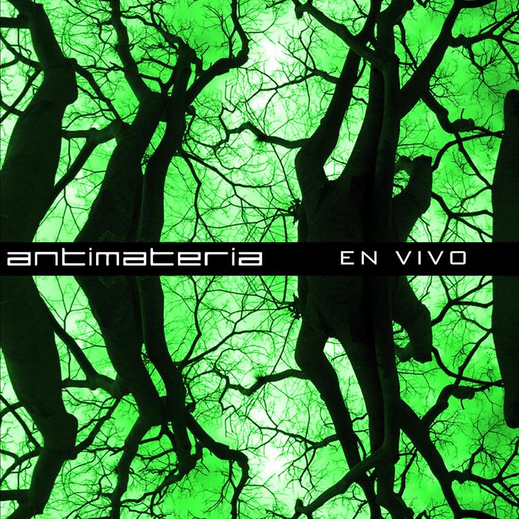 Proyecto Antimateria's avatar image