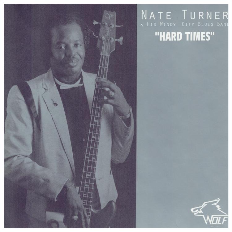 Nate Turner & His Windy City Blues Band's avatar image