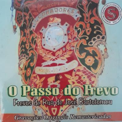 Ferrolho By Orquestra de Frevo's cover