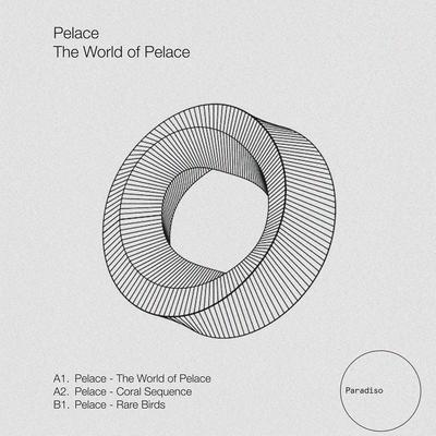 The World of Pelace (Original Mix)'s cover