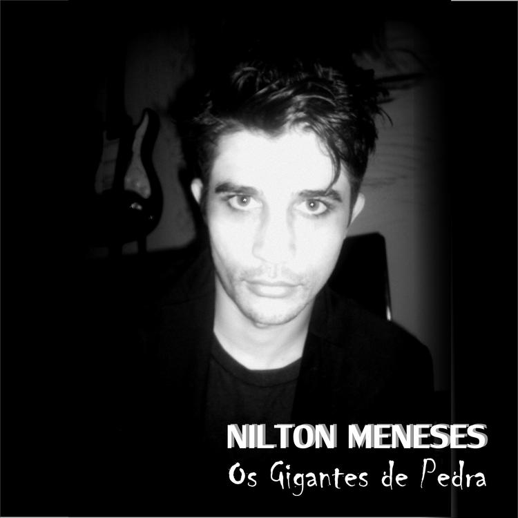 Nilton Meneses's avatar image