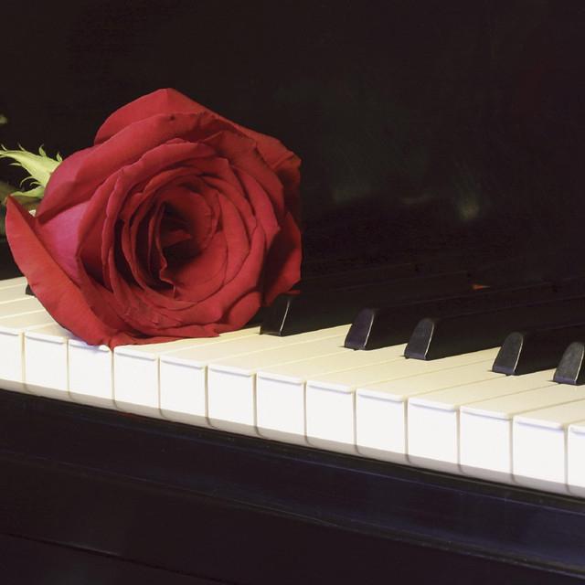 Piano Love Songs's avatar image