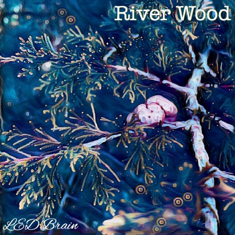 River Wood's avatar image