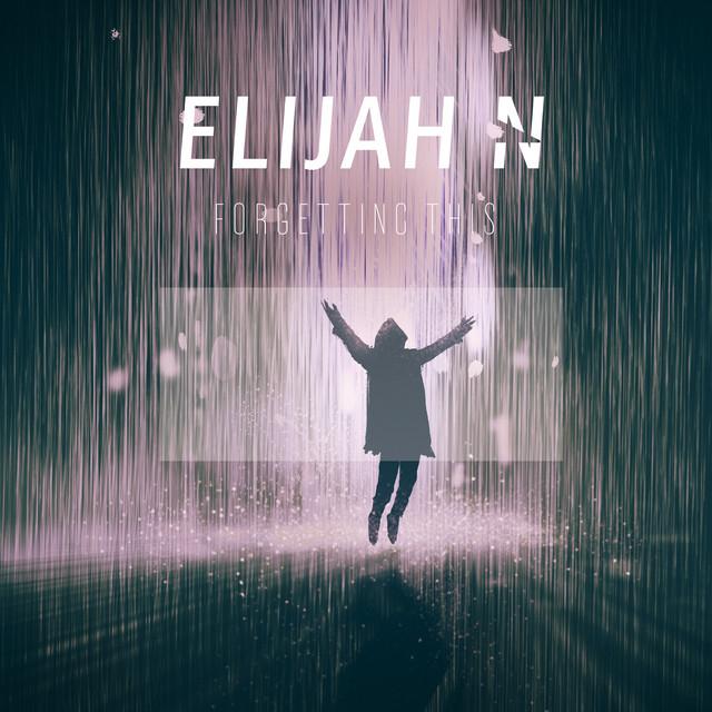 Elijah N's avatar image