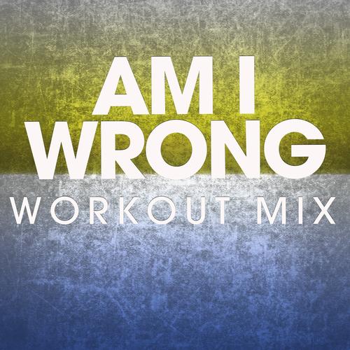 Am I Wrong (Pump It Extended Remi)'s cover