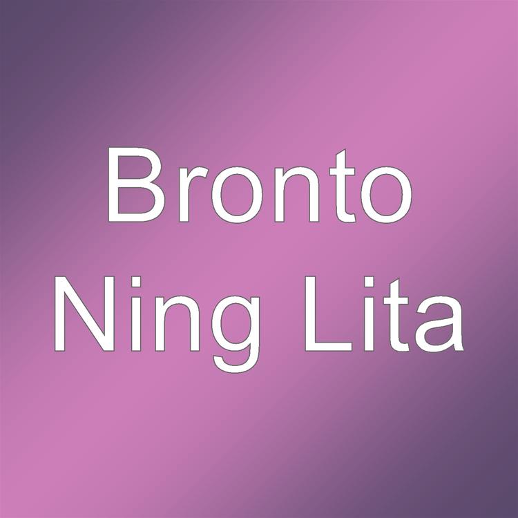Bronto's avatar image