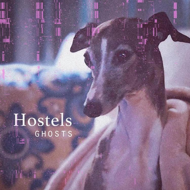 Hostels's avatar image