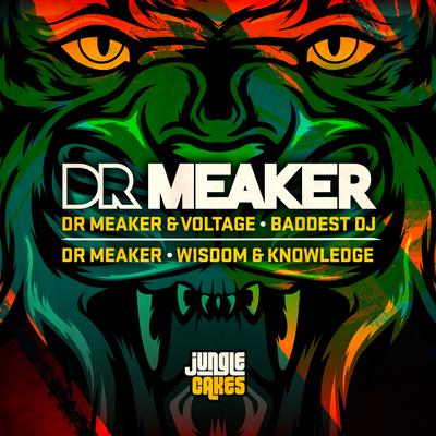 Baddest DJ (Original Mix) By Dr Meaker, Voltage's cover