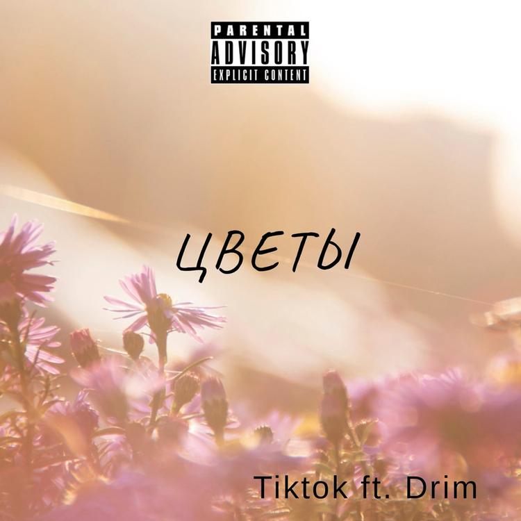 Tiktok's avatar image