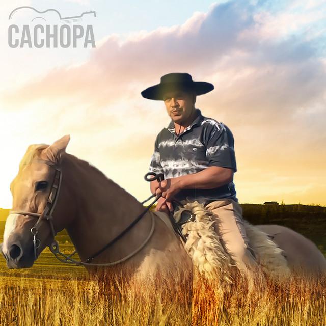 Cachopa Oficial's avatar image