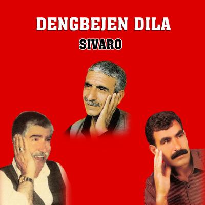 Dengbejen Dıla's cover