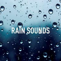 Rain Sounds Lab's avatar cover