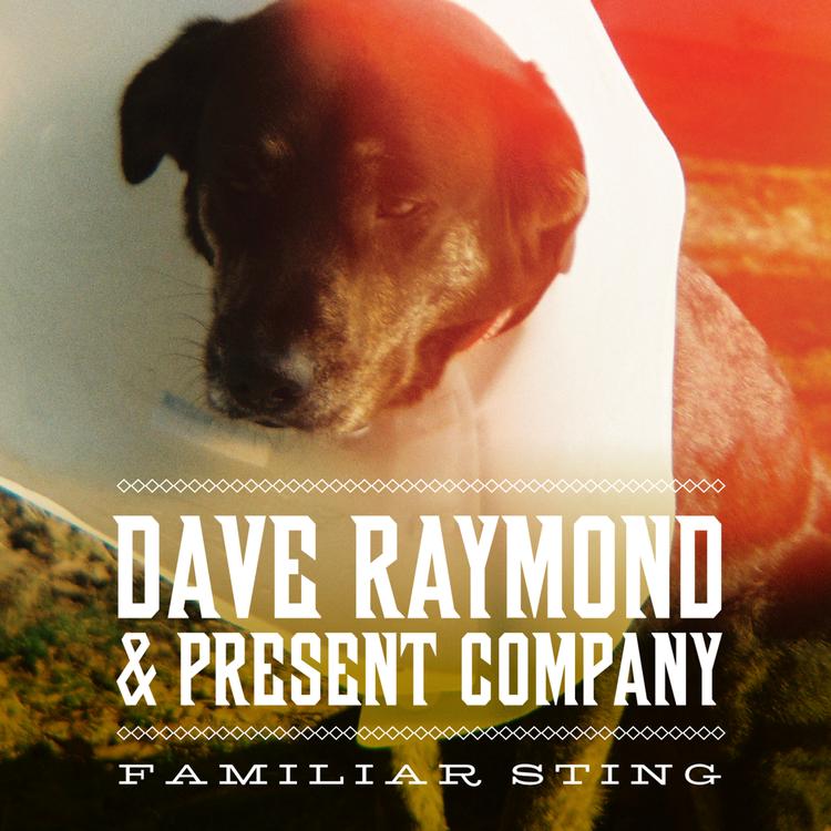 Dave Raymond & Present Company's avatar image
