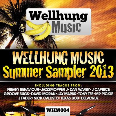 WellHung Music Summer Sampler's cover