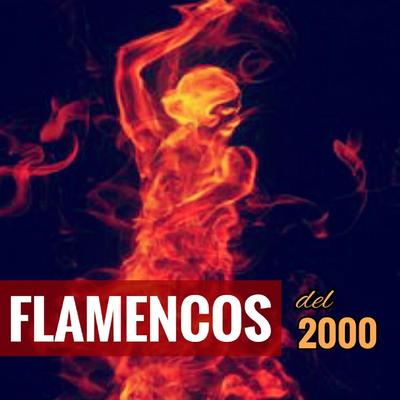 Flamencos del 2000's cover