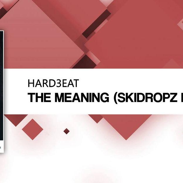 SkiDropz's avatar image