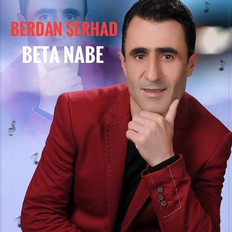 Berdan Serhad's avatar image