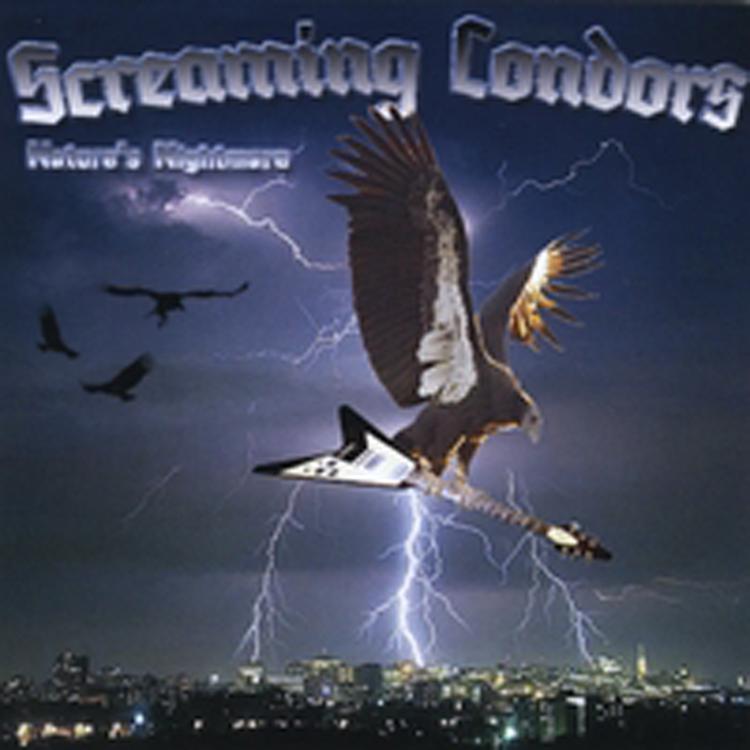Screaming Condors's avatar image