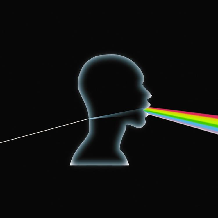 Dark Side of the Moon A Cappella's avatar image