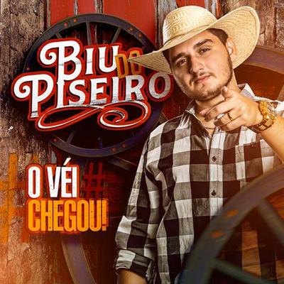 Ela Me Bloqueou By Biu do Piseiro's cover