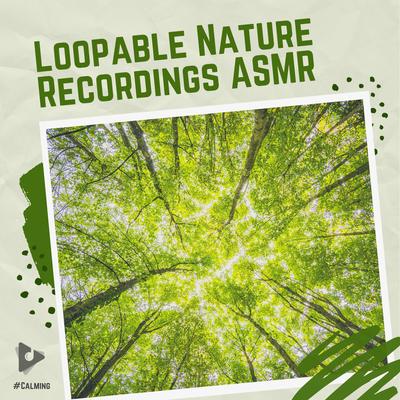 Loopable Nature Recordings ASMR's cover