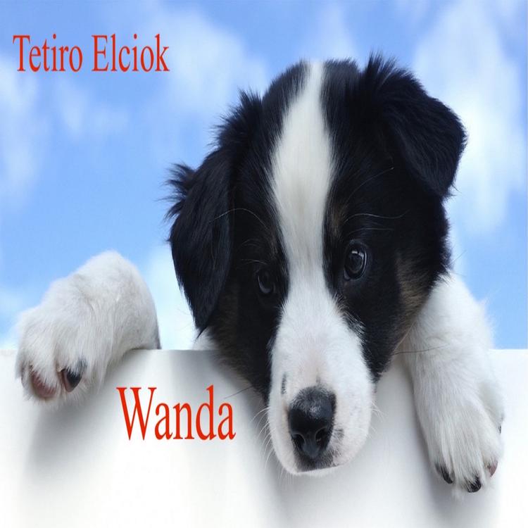 Tetiro Elciok's avatar image