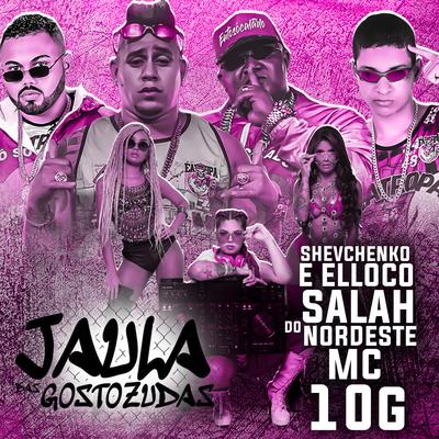 Tu Gosta By MC 10G, Salah do Nordeste, Jaula das gostosudas, Shevchenko e Elloco's cover