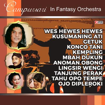 Campursari In Fantasy Orchestra's cover