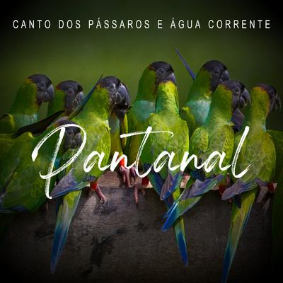Pantanal - Canto Dos Pássaros e Água Corrente's cover