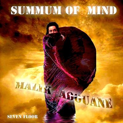 Summum of Mind (Seven Floor)'s cover