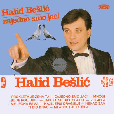 Mladost Je Otisla By Halid Bešlić's cover