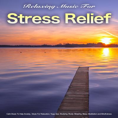 Music For Spa By Relaxing Music For Stress Relief, Calm Music Guru, Relaxation Sleep Meditation's cover