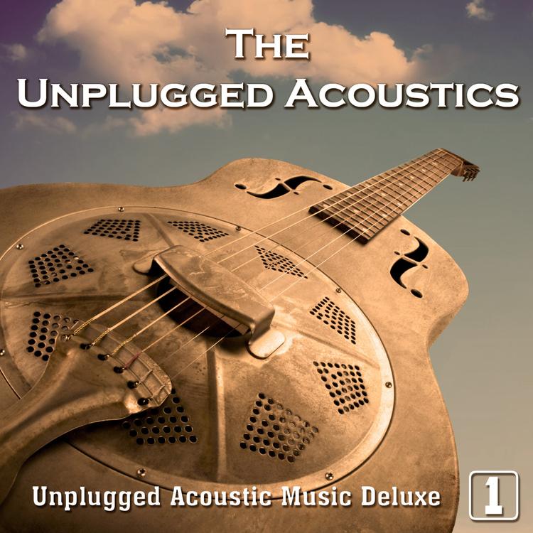 The Unplugged Acoustics's avatar image