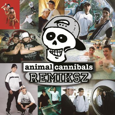 Remiksz's cover