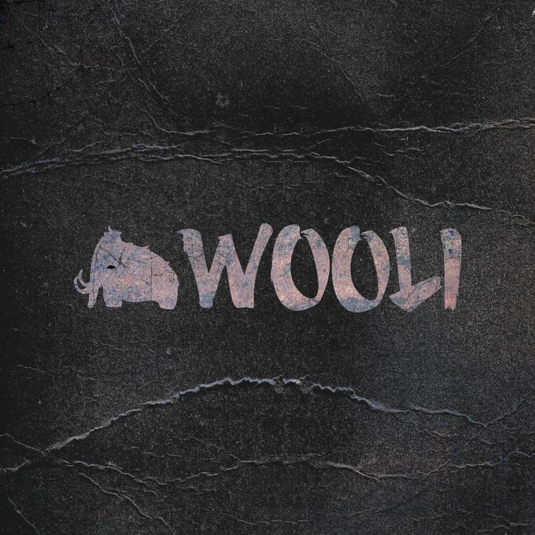 Wooli's avatar image