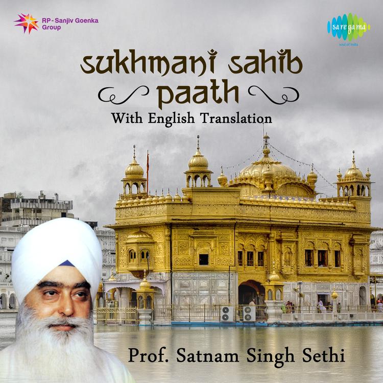 Prof. Satnam Singh Sethi's avatar image