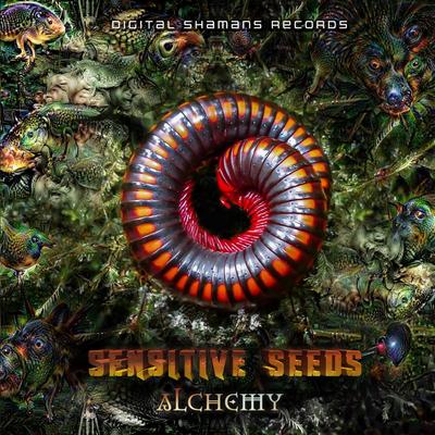 A la Fraise By Earthworm, Sensitive Seeds's cover