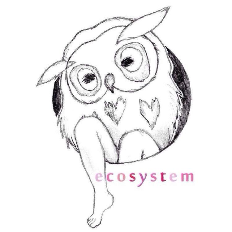 ecosystem's avatar image