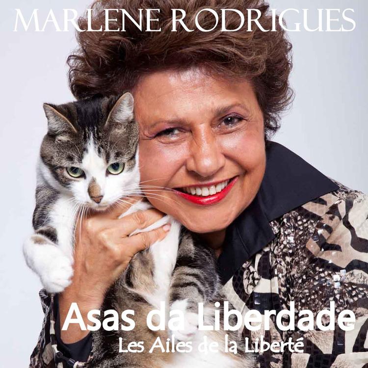 Marlene Rodrigues's avatar image