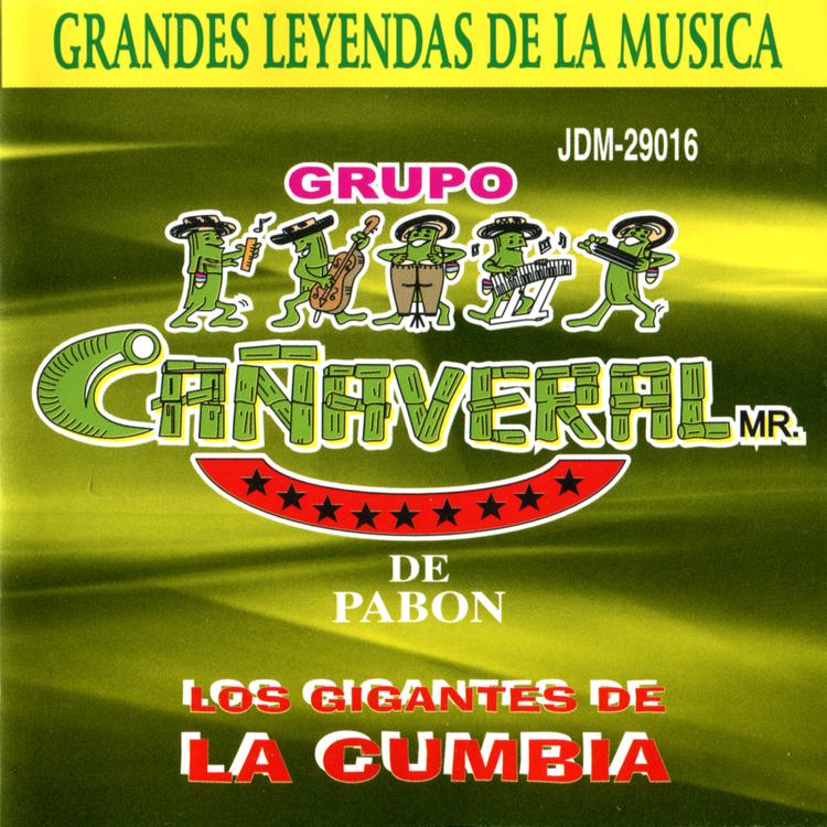 Grupo Carñaveral's avatar image