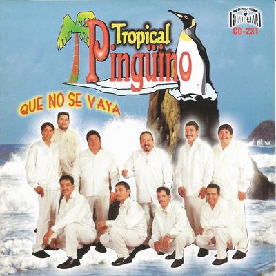 Tropical Pinguino's cover