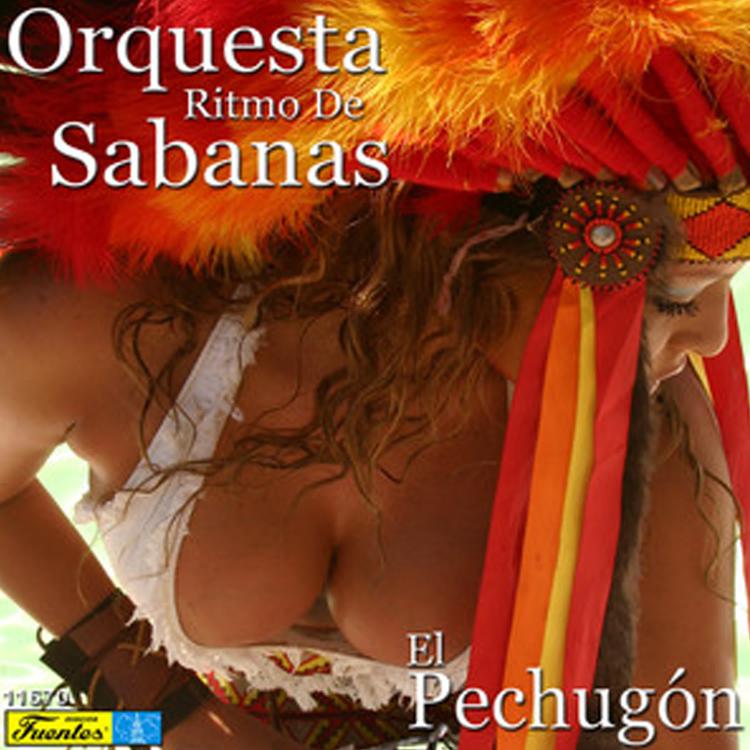 Orquesta Ritmo de Sabanas's avatar image