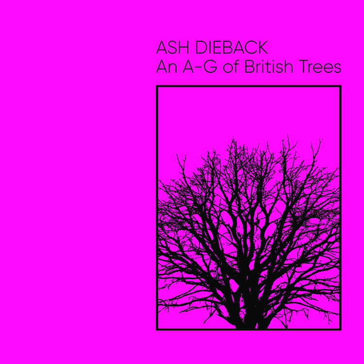 Ash Dieback's avatar image